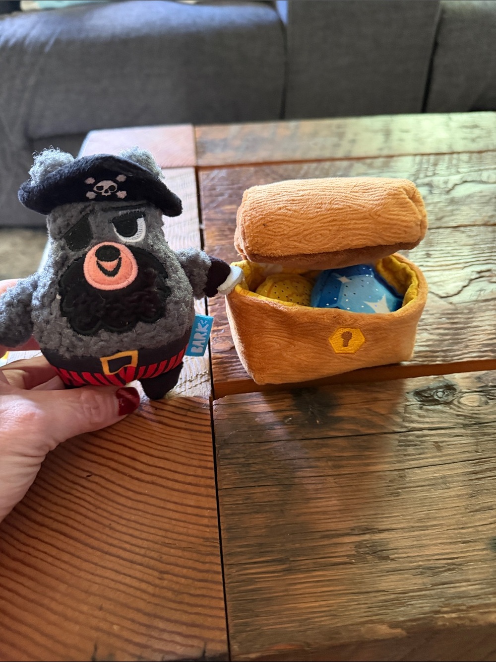 Bark Pirate Plush with Brown Treasure Chest and Blue Gems